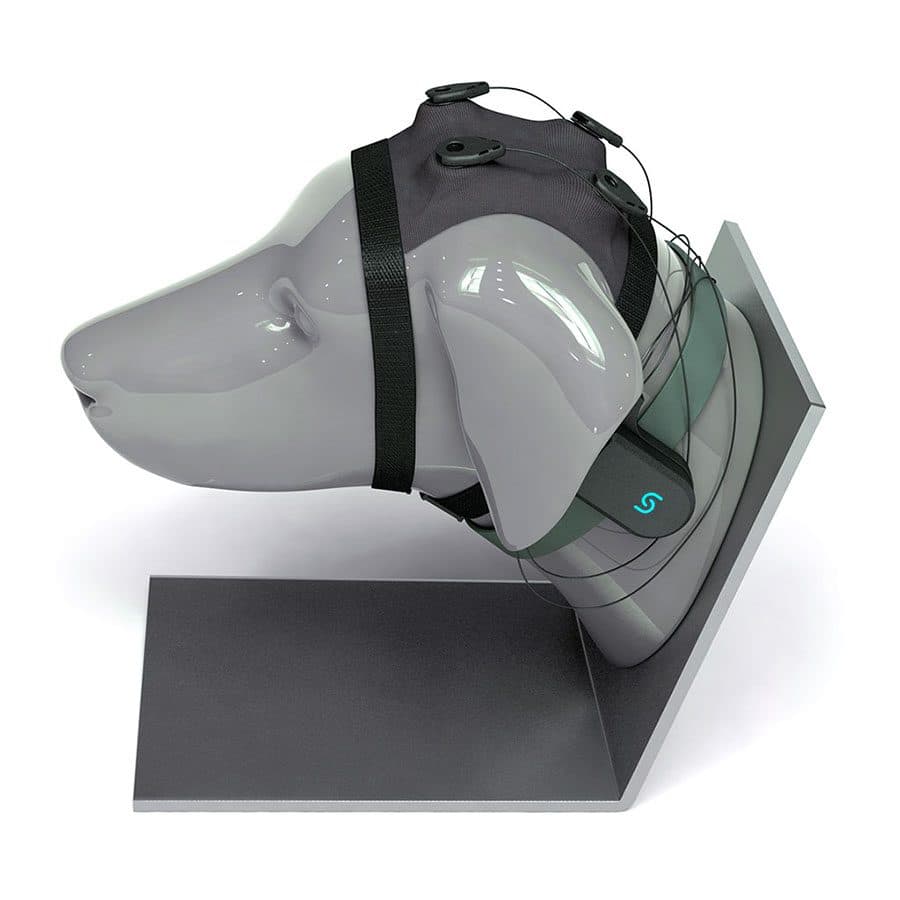 A dog cap with Unicorn BCI Core-8, on its stand