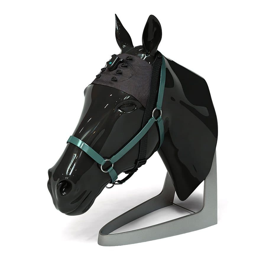 A horse cap with Unicorn BCI Core-8, on its stand