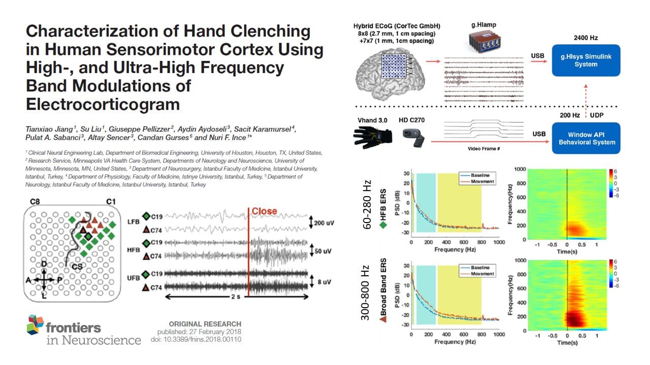 A figure from the paper: the ECoG grid, g.HIamp and g.HIsys set-up, frequency bands and time-frequency maps during hand clenching