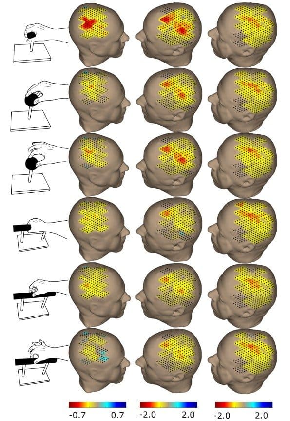 Cortical activation maps during different grasping movements