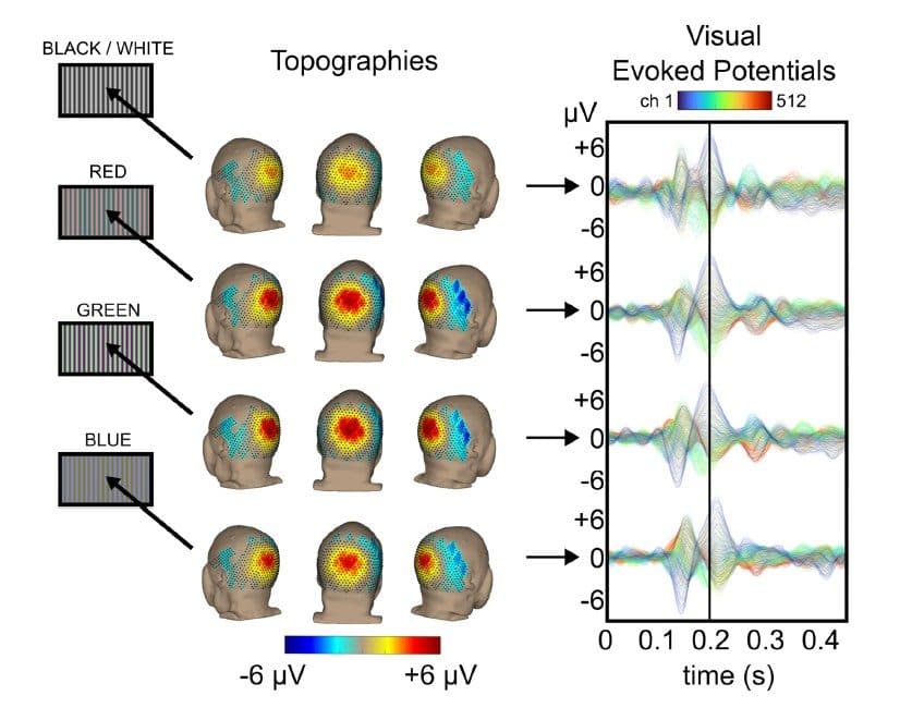 Topographies and 512-channel visual evoked potentials for black-and-white, red, green and blue stimuli
